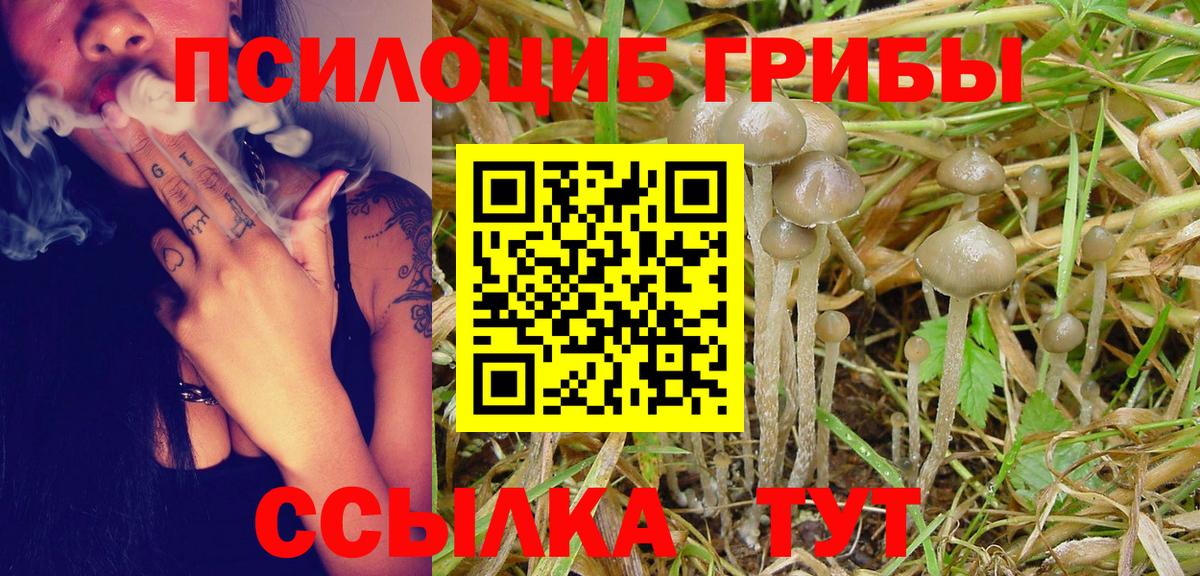 закладка  Псилоцибиновые грибы Psilocybine cubensis  Вход с VPN  Отрадное 